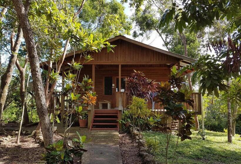 הוסטל Hidden Haven