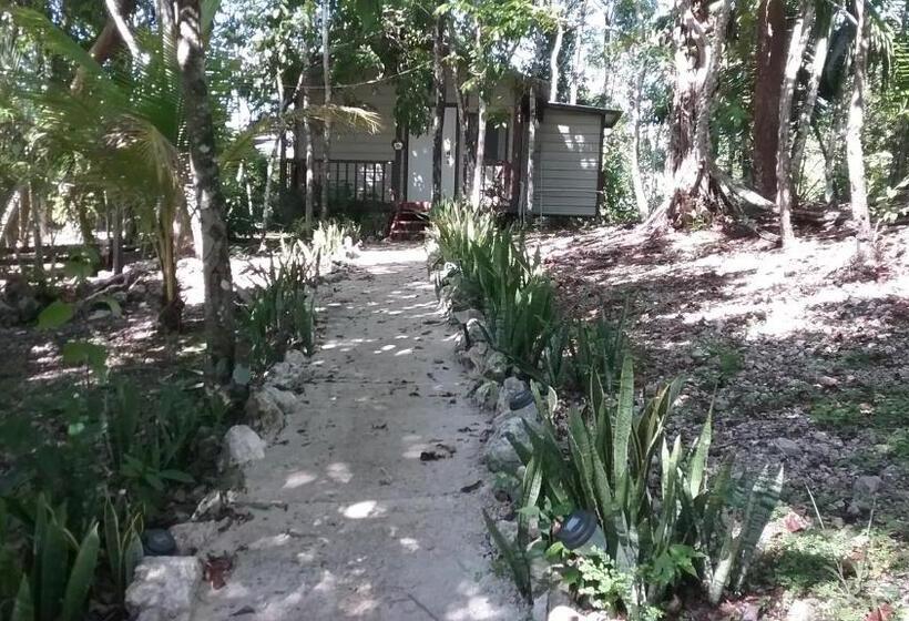 הוסטל Hidden Haven