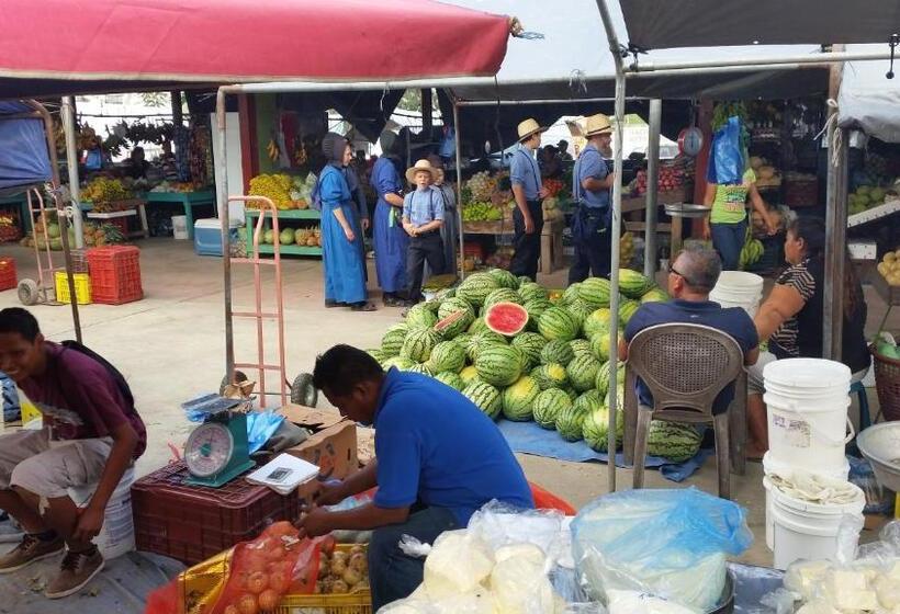 הוסטל Hidden Haven