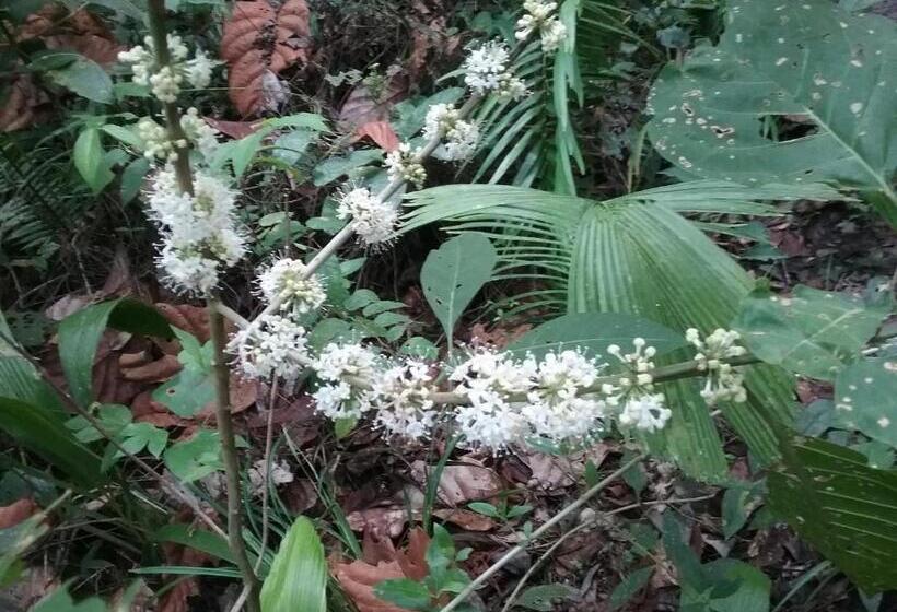 הוסטל Hidden Haven