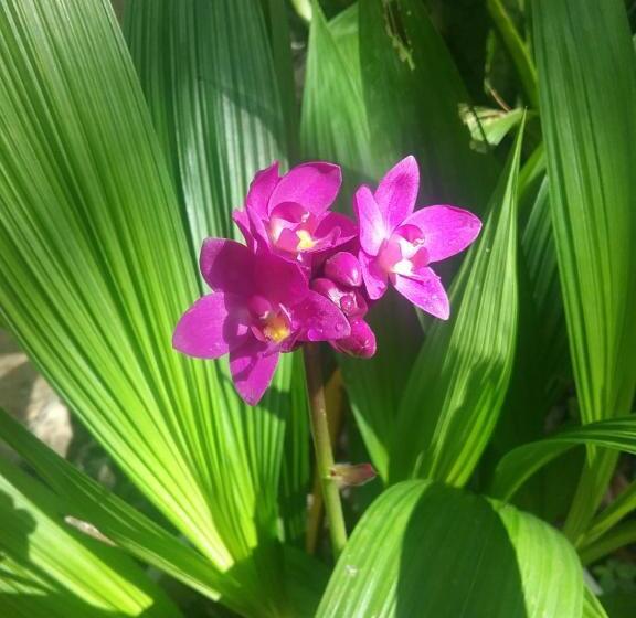 הוסטל Hidden Haven