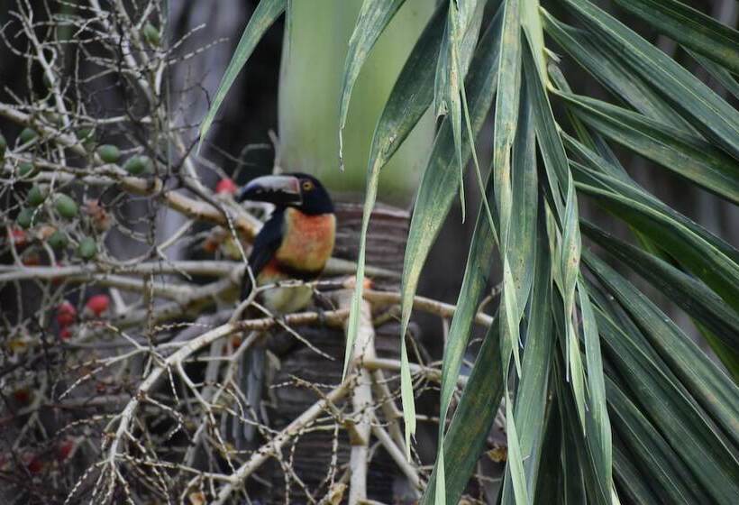 הוסטל Hidden Haven