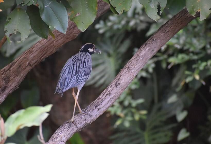 הוסטל Hidden Haven