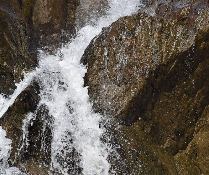 הוסטל Hidden Haven