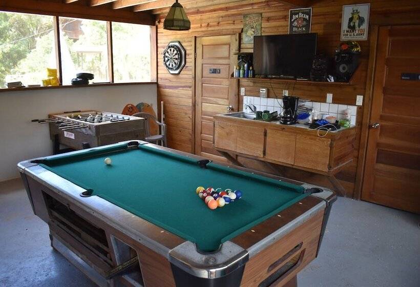 הוסטל Hidden Haven