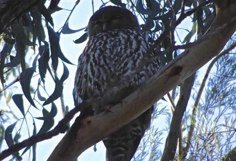مبيت وإفطار Blue Gum Cottage On Bay