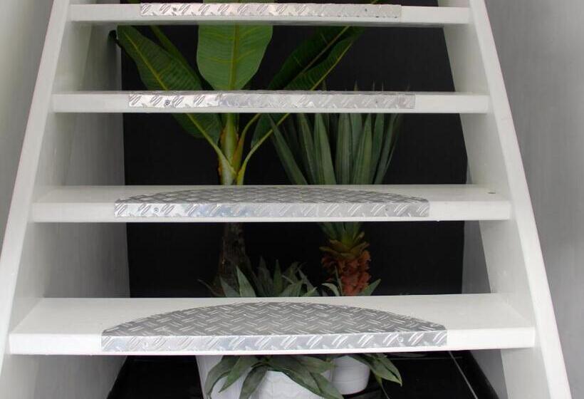 住宿加早餐  Boerderij De Zalm