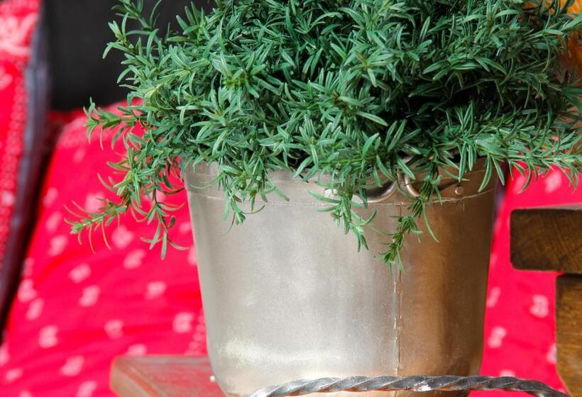 住宿加早餐  Boerderij De Zalm