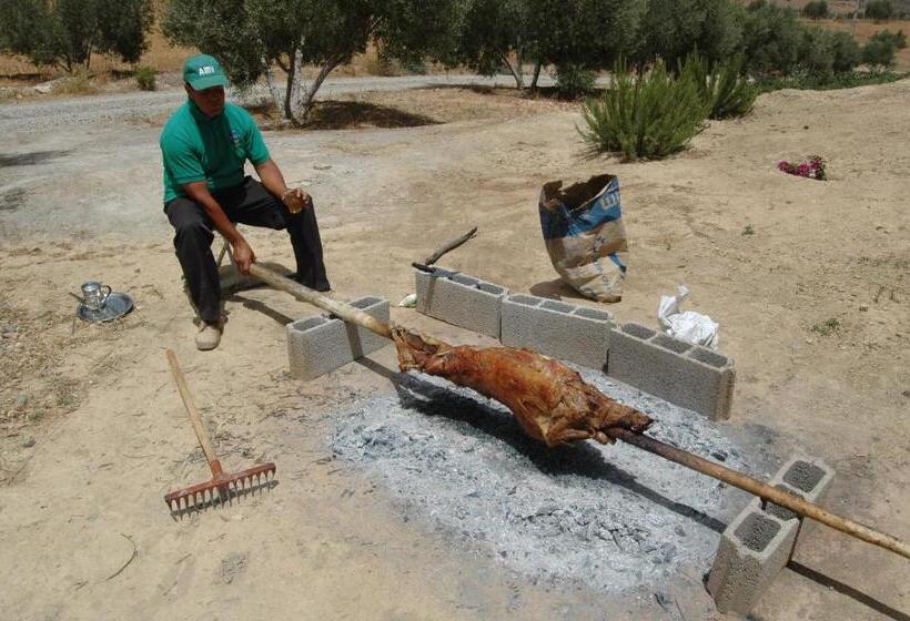 تختخواب و صبحانه Gîte Raid Oriental