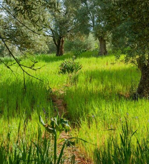 تختخواب و صبحانه Gîte Raid Oriental