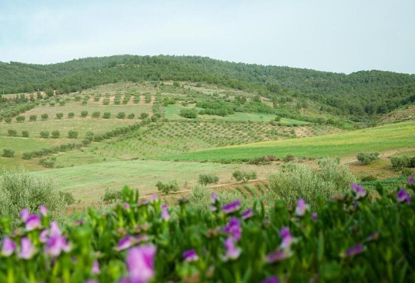 تختخواب و صبحانه Gîte Raid Oriental