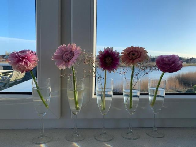 민박 Hostellerie Het Riet Blauwestad