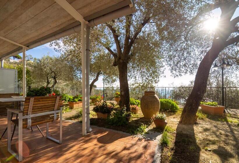 Bed and Breakfast Tra Gli Ulivi