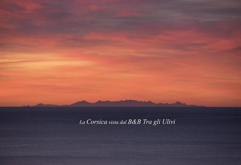 Bed and Breakfast Tra Gli Ulivi