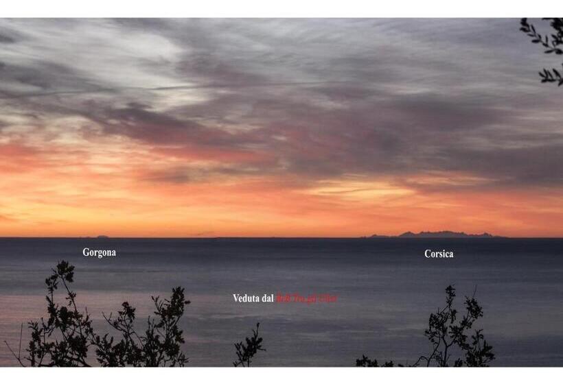 Bed and Breakfast Tra Gli Ulivi