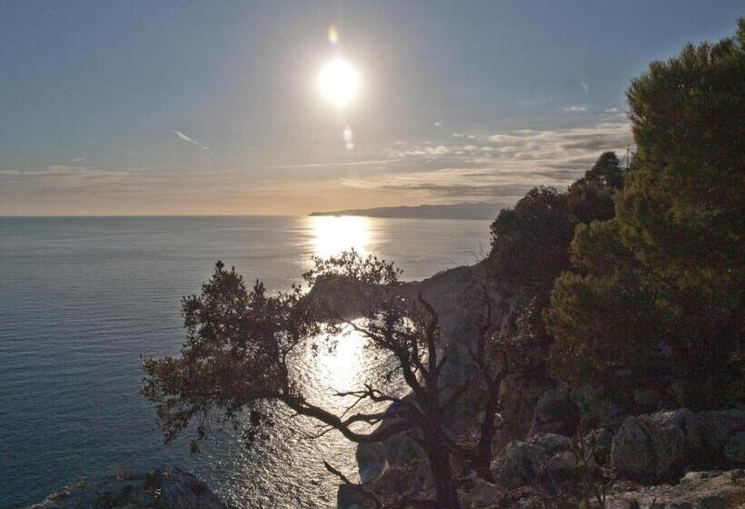 Bed and Breakfast Tra Gli Ulivi