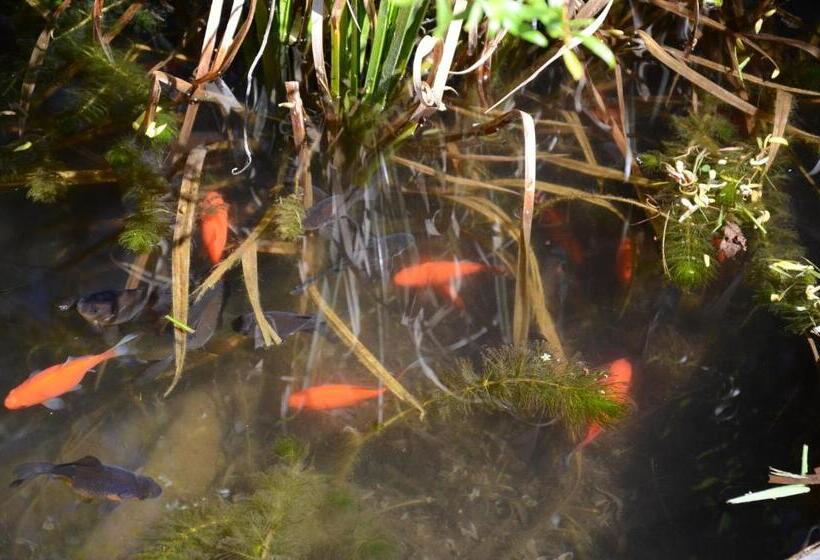 Cabanas ´portal Norte