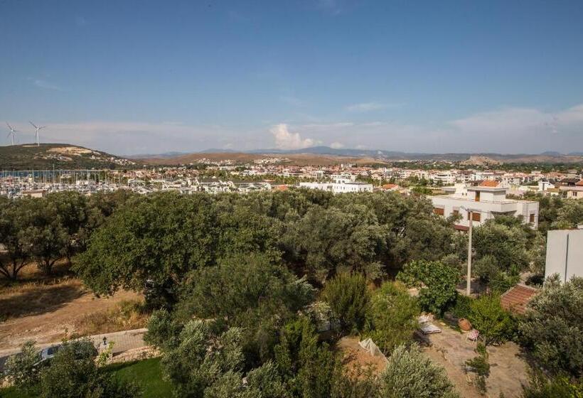 Clementin Suits Sigacık