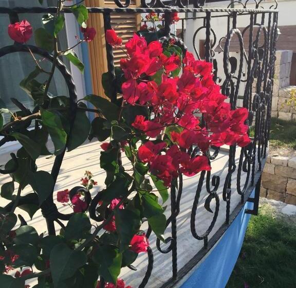 Clementin Suits Sigacık