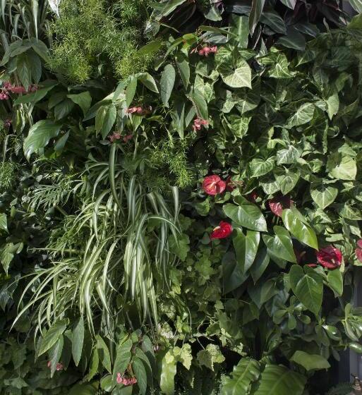 Domitys Les Cigales Du Lubéron