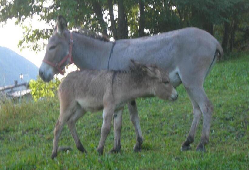 בית מלון כפרי Agriturismo Lo Ratelé