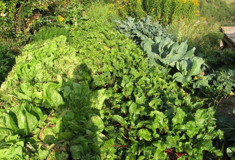 בית מלון כפרי Agriturismo Lo Ratelé