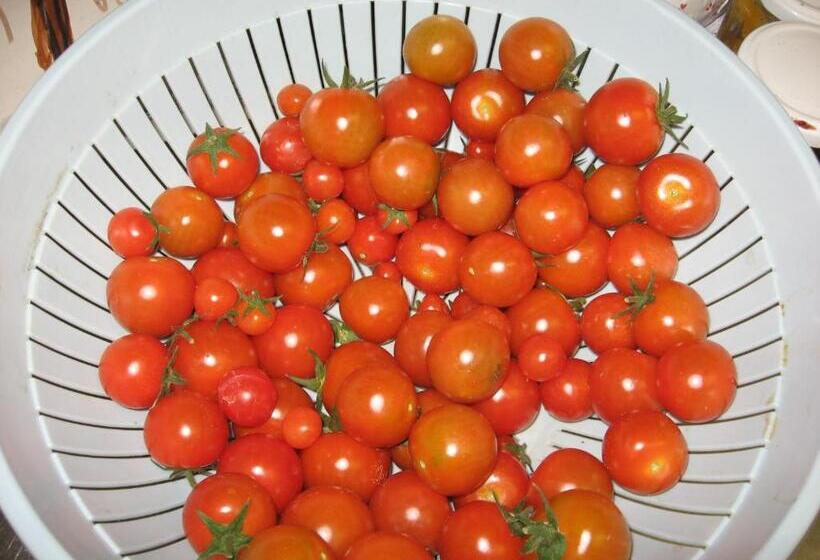 בית מלון כפרי Agriturismo Lo Ratelé