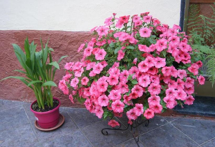 호텔 Albergo Ristorante Pace