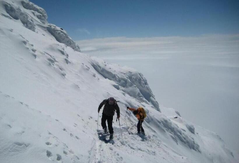 Отель Butik Ertur