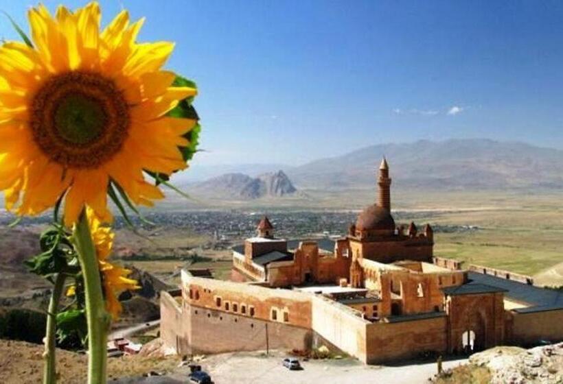 Отель Butik Ertur