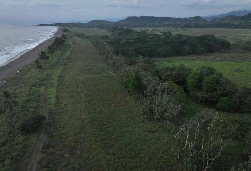 호텔 Casa Caletas Boutique