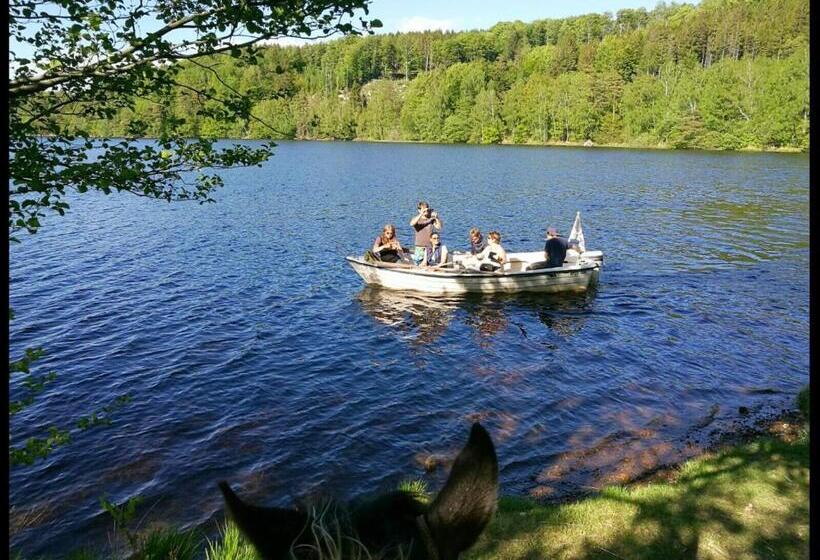 בית מלון כפרי Eddylou Ranch