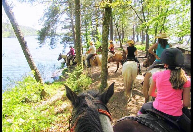 בית מלון כפרי Eddylou Ranch