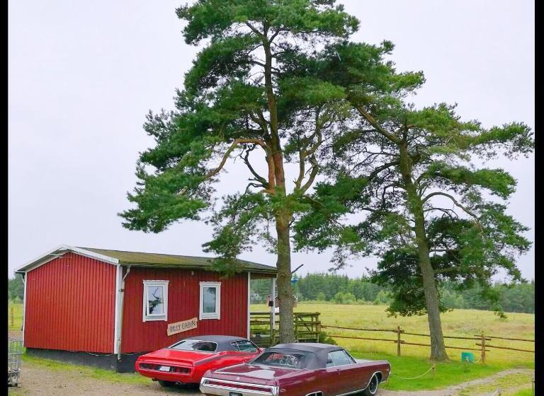 בית מלון כפרי Eddylou Ranch