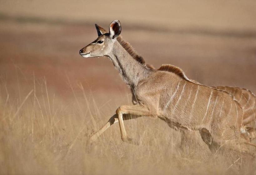 Отель Ezemvelo Nature Reserve