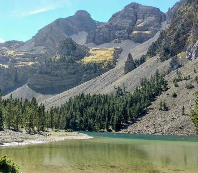 בית מלון כפרי Fonda Muntanya