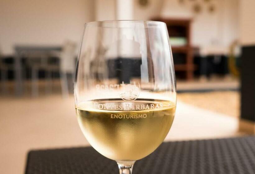 酒店 Fontes Bárbaras Enoturismo