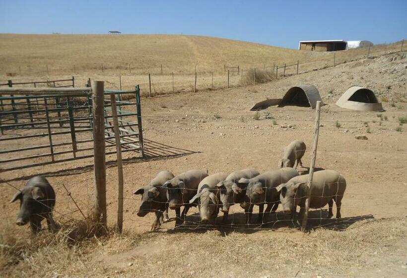 호텔 Herdade Dos Montes Bastos