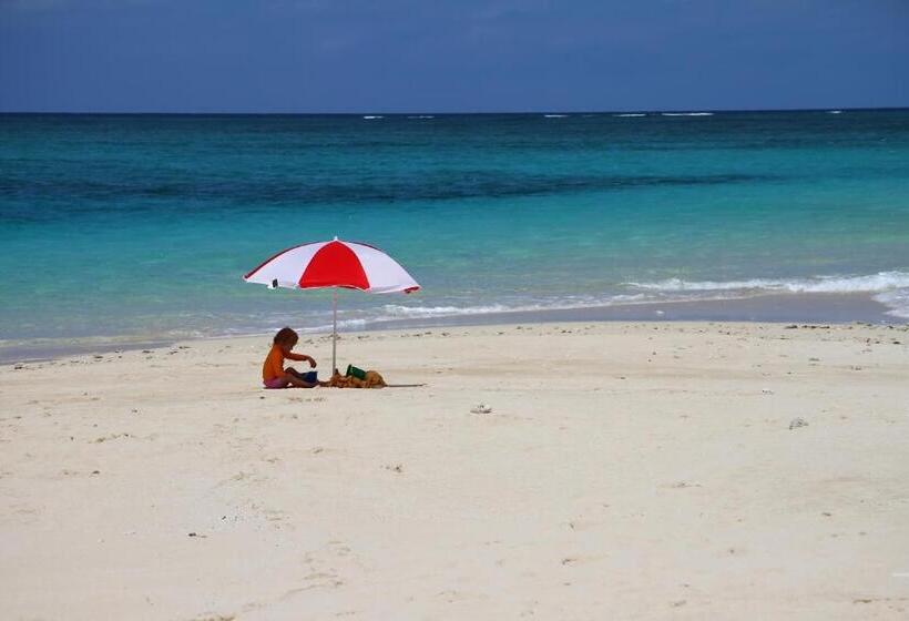 酒店 Kijongo Bay Beach Resort