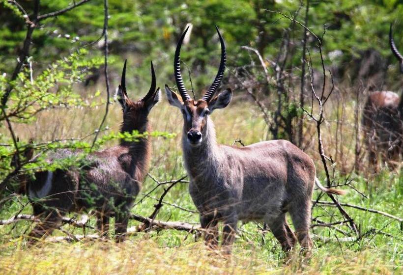酒店 Kijongo Bay Beach Resort