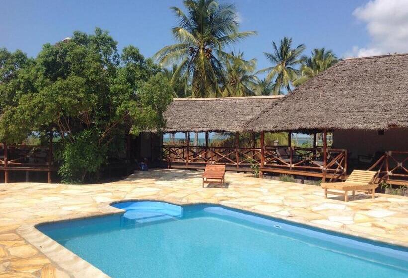 酒店 Kijongo Bay Beach Resort