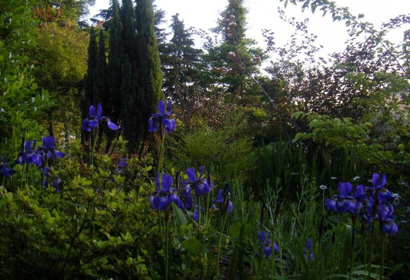 בית מלון כפרי Kiryu Grand