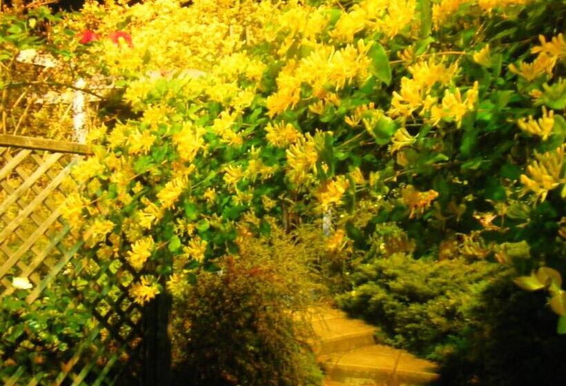 בית מלון כפרי Kiryu Grand