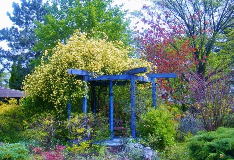 בית מלון כפרי Kiryu Grand