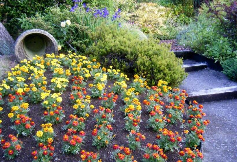 בית מלון כפרי Kiryu Grand