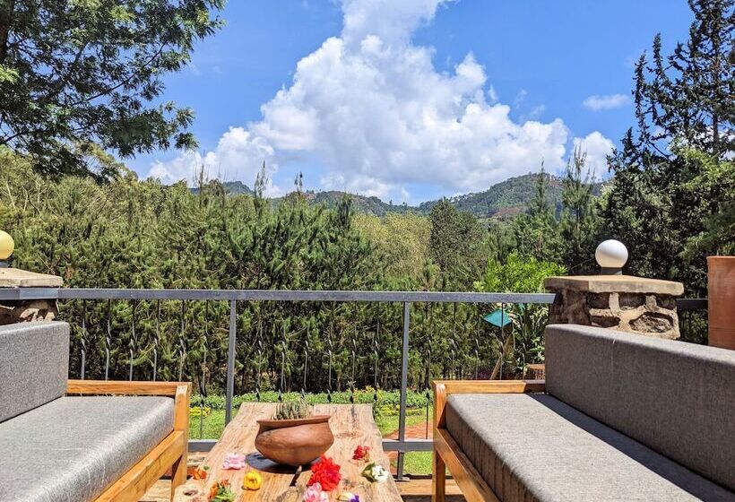 בית מלון כפרי Lawns