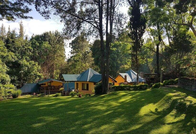 בית מלון כפרי Lawns