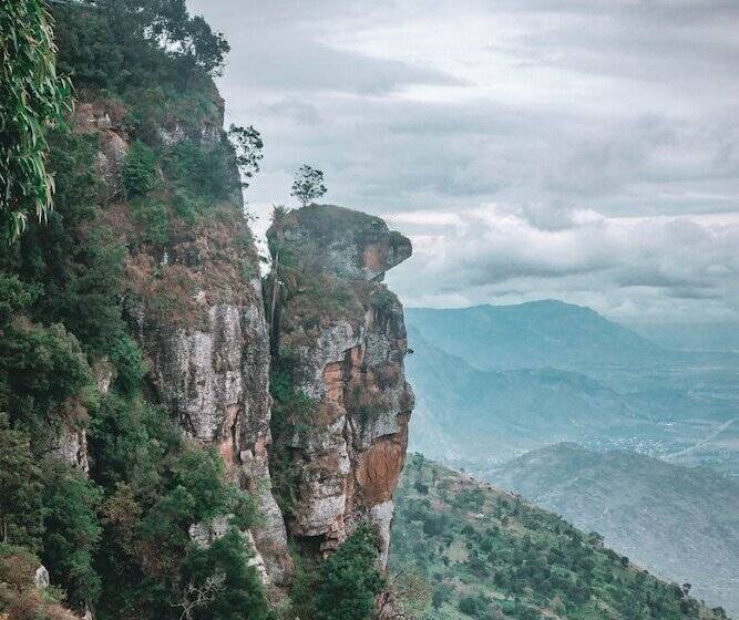 בית מלון כפרי Lawns