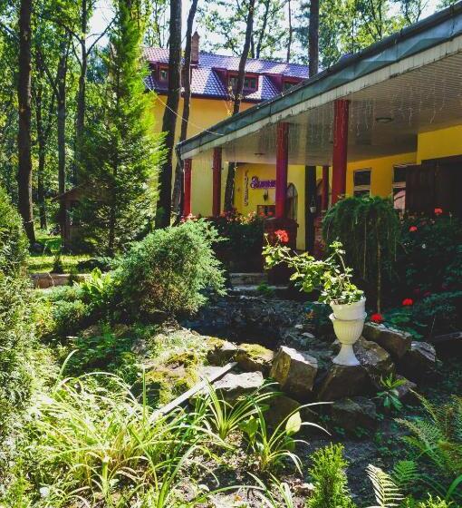 Отель Lisova Perlina