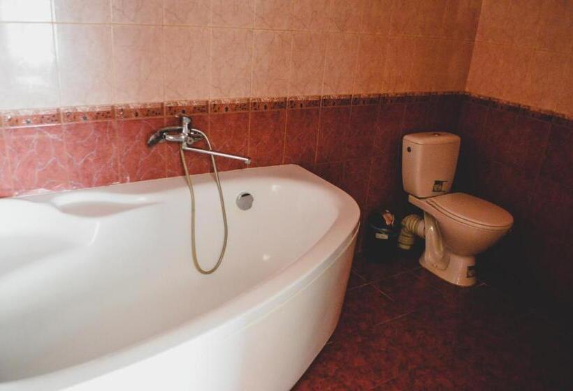 Отель Lisova Perlina